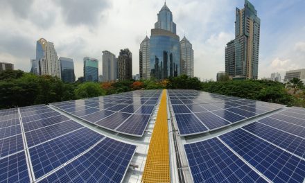 Malaysia’s Roadmap to a Green Energy Transition: The NETR and its impact on carbon neutrality